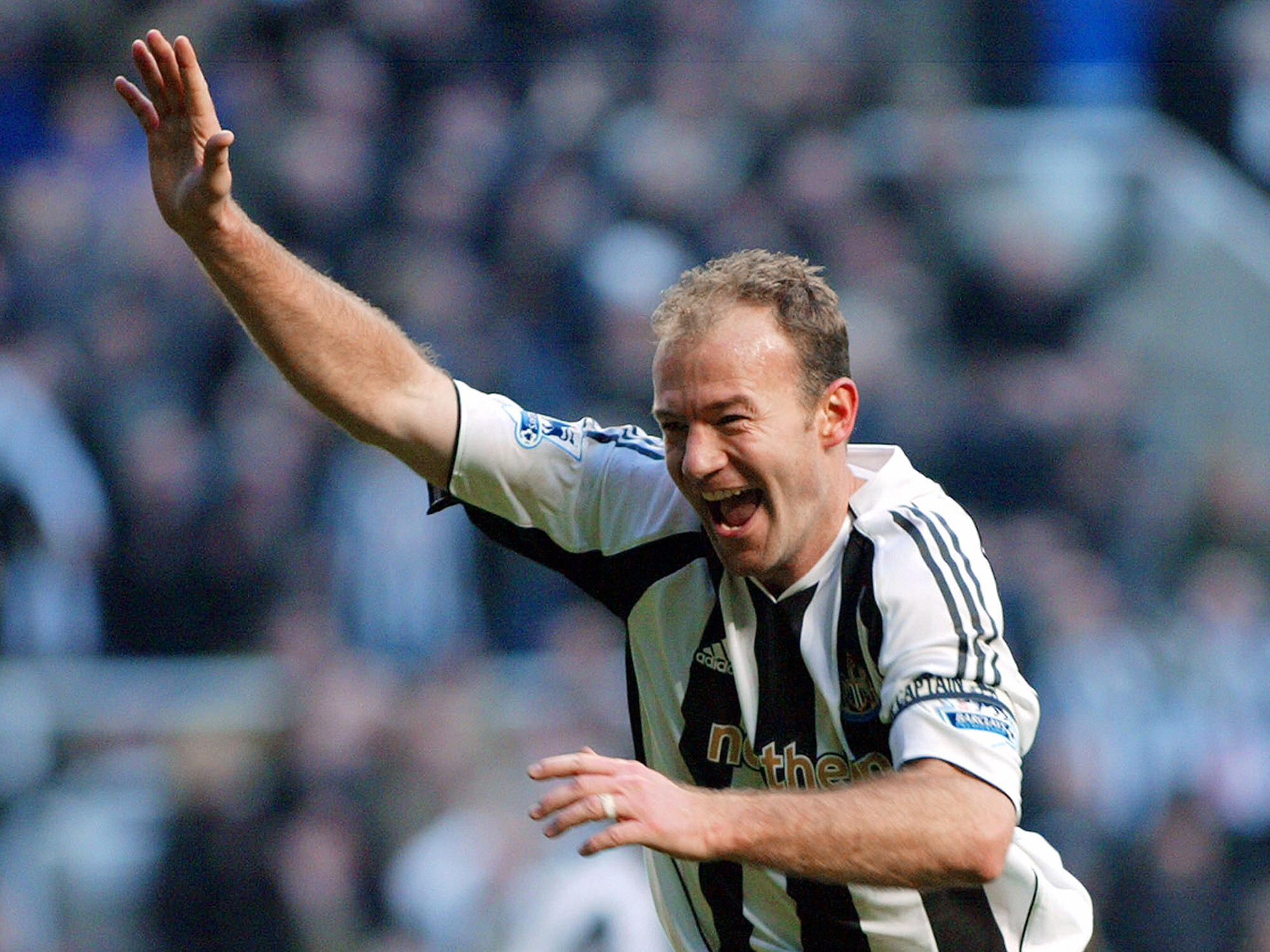 shearer