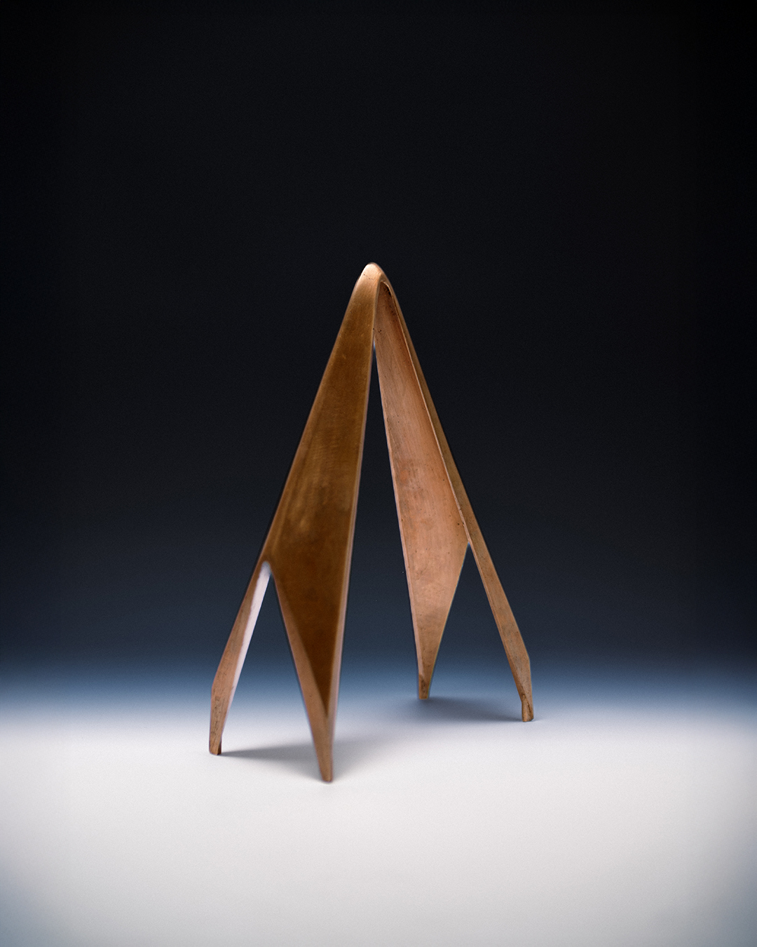 PREMIO AURA_0004